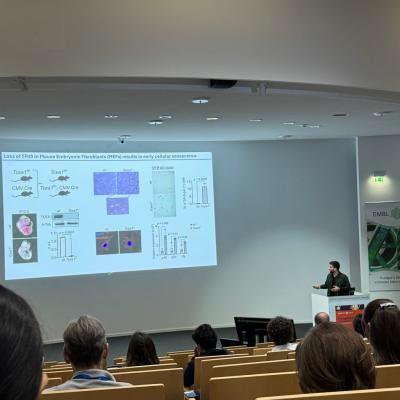 EMBO Symposium: the ageing genome, 10-13 June 2025